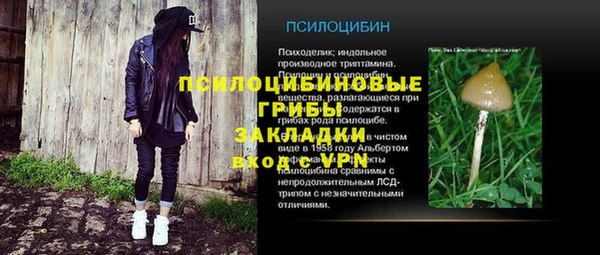 мяу мяу мука Арсеньев