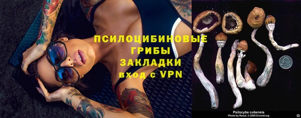 мяу мяу мука Арсеньев
