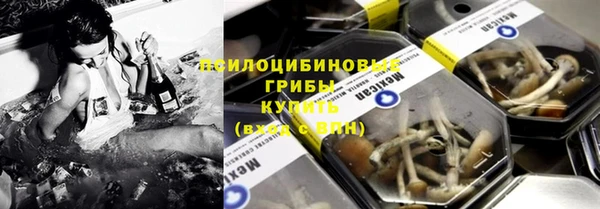 мяу мяу мука Арсеньев